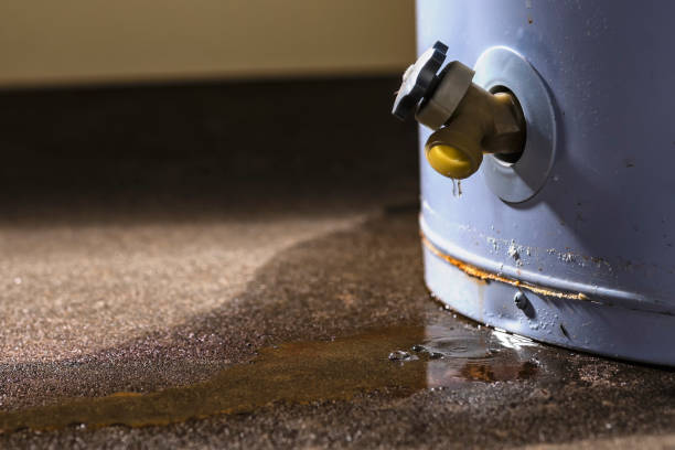 Best Water damage restoration near me  in Roberts, WI