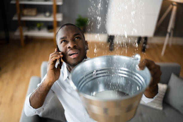 Best Water damage restoration insurance claims  in Roberts, WI