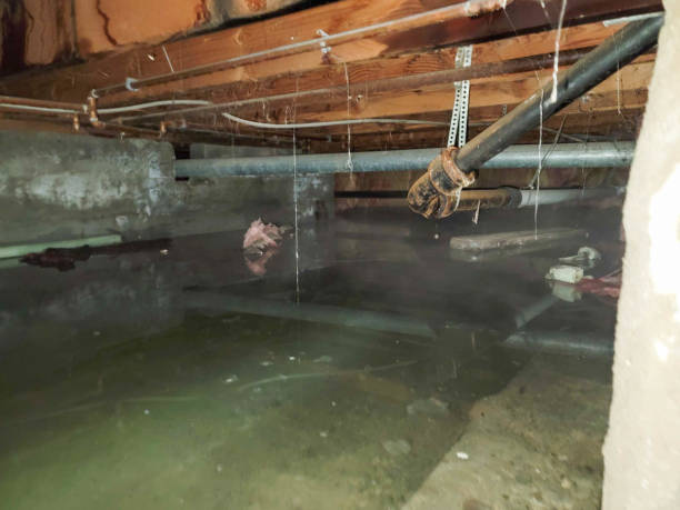 Best 24/7 water damage repair  in Roberts, WI