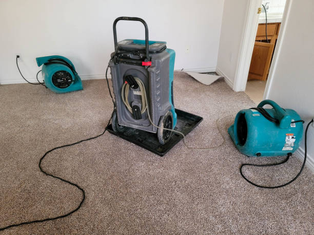 Best Residential water damage restoration  in Roberts, WI