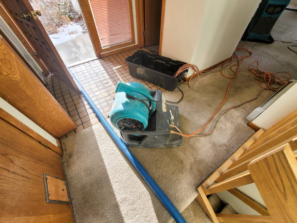 Best Flood restoration services  in Roberts, WI