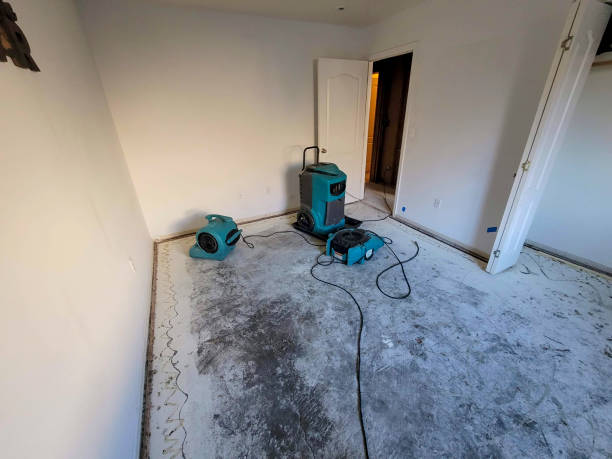 Best Professional water damage repair  in Roberts, WI