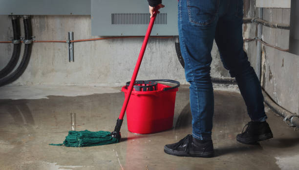 Best Emergency water damage restoration  in Roberts, WI
