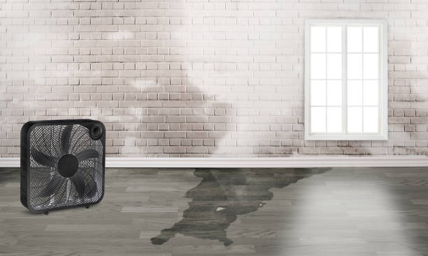 Best 24-hour water damage restoration  in Roberts, WI