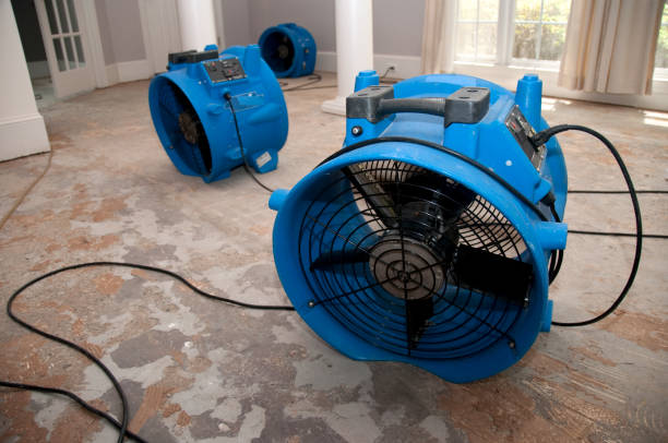 Best Flood damage cleanup  in Roberts, WI