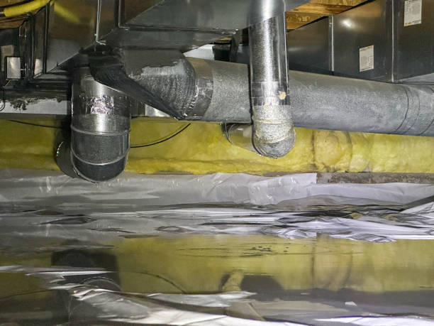 Best Mold removal after water damage  in Roberts, WI