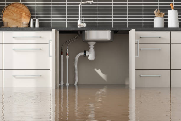 Best Fire Damage Restoration  in Roberts, WI