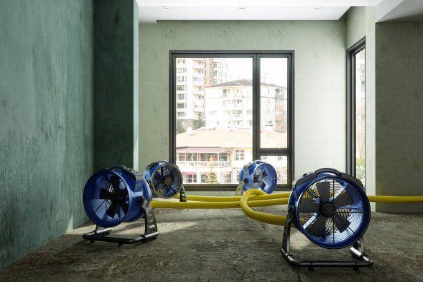 Best Emergency water damage restoration  in Roberts, WI